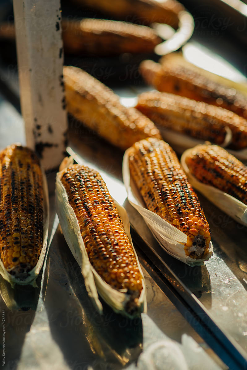 grilled Maize Cob arranged on the steel table