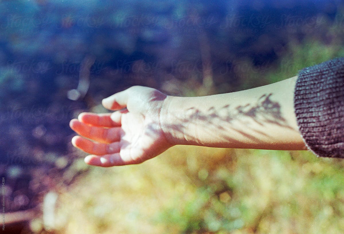 Girl\'s hand in the bright sunlight on a warm day