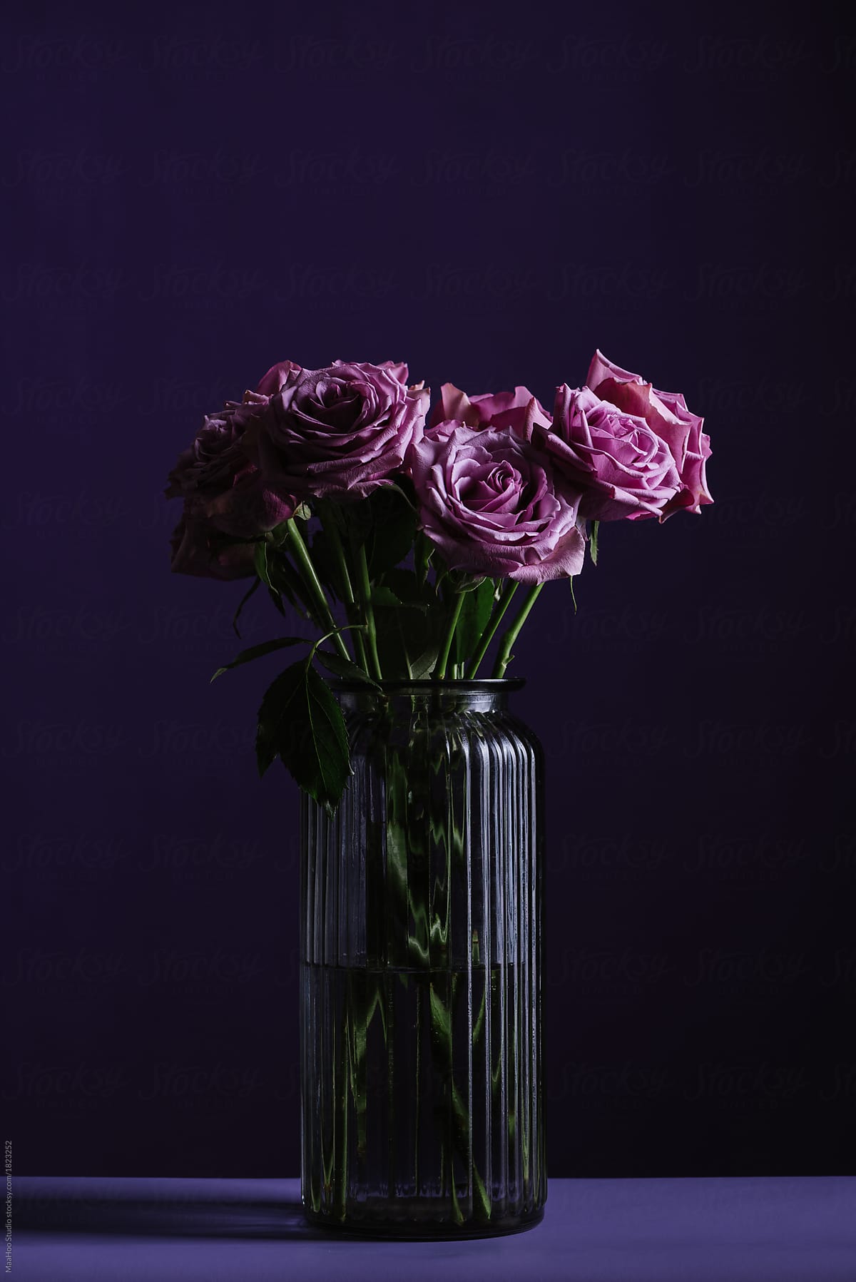 Purple roses in vase