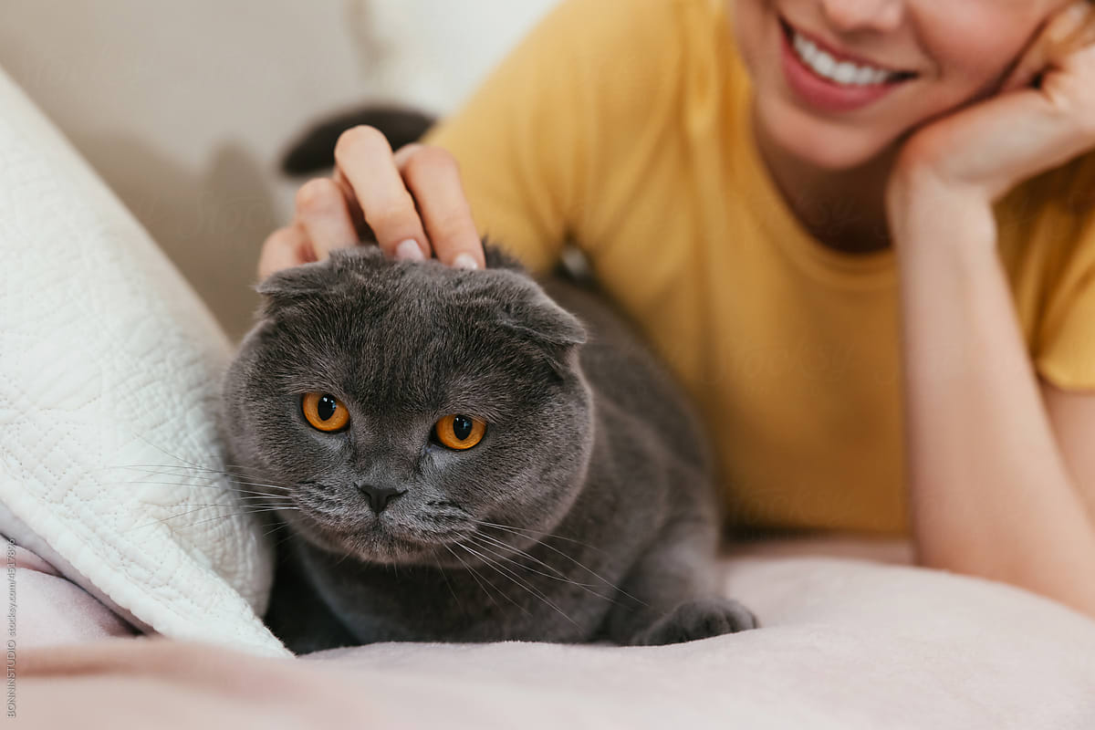 Happy woman scratching cat on couch