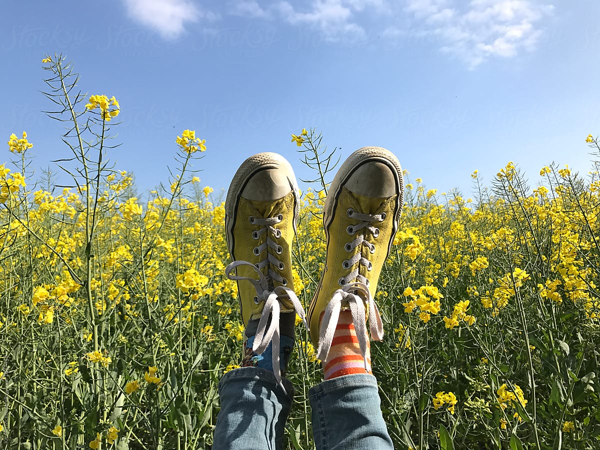 A pair of yellow trainers against yellow rapeseed flowers