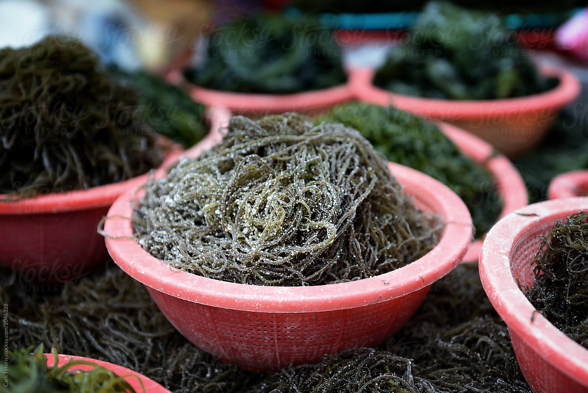 Plastic bowls of seaweed for sale in a traditional Korean market