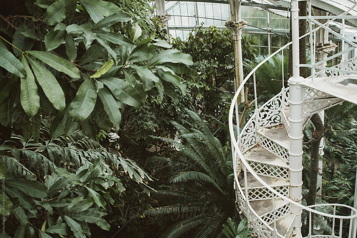 Spiral staircase in botanical garden