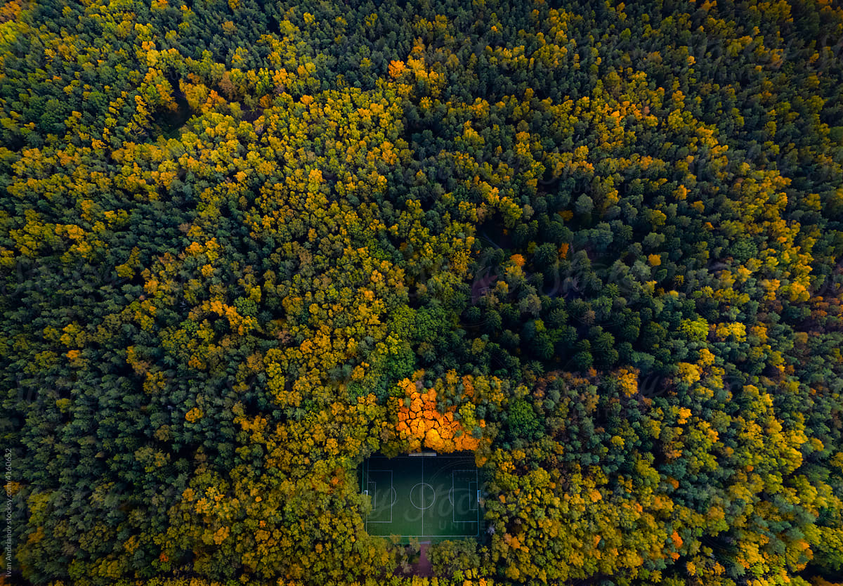 Football in colored autumn forest