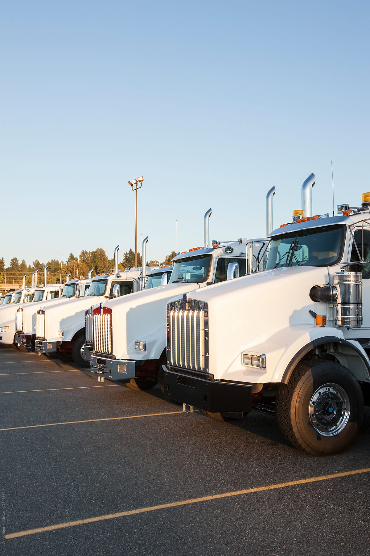 Truck fleet in parking lot.
