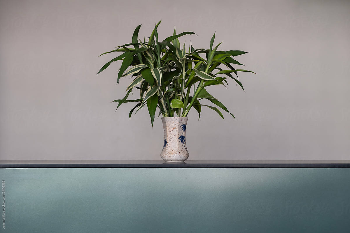 Green leaves vase at home for decoration