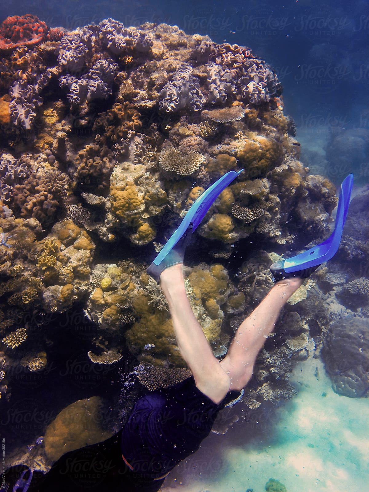 man diving down whilst snorkeling on the Great Barrier Reef, Australia