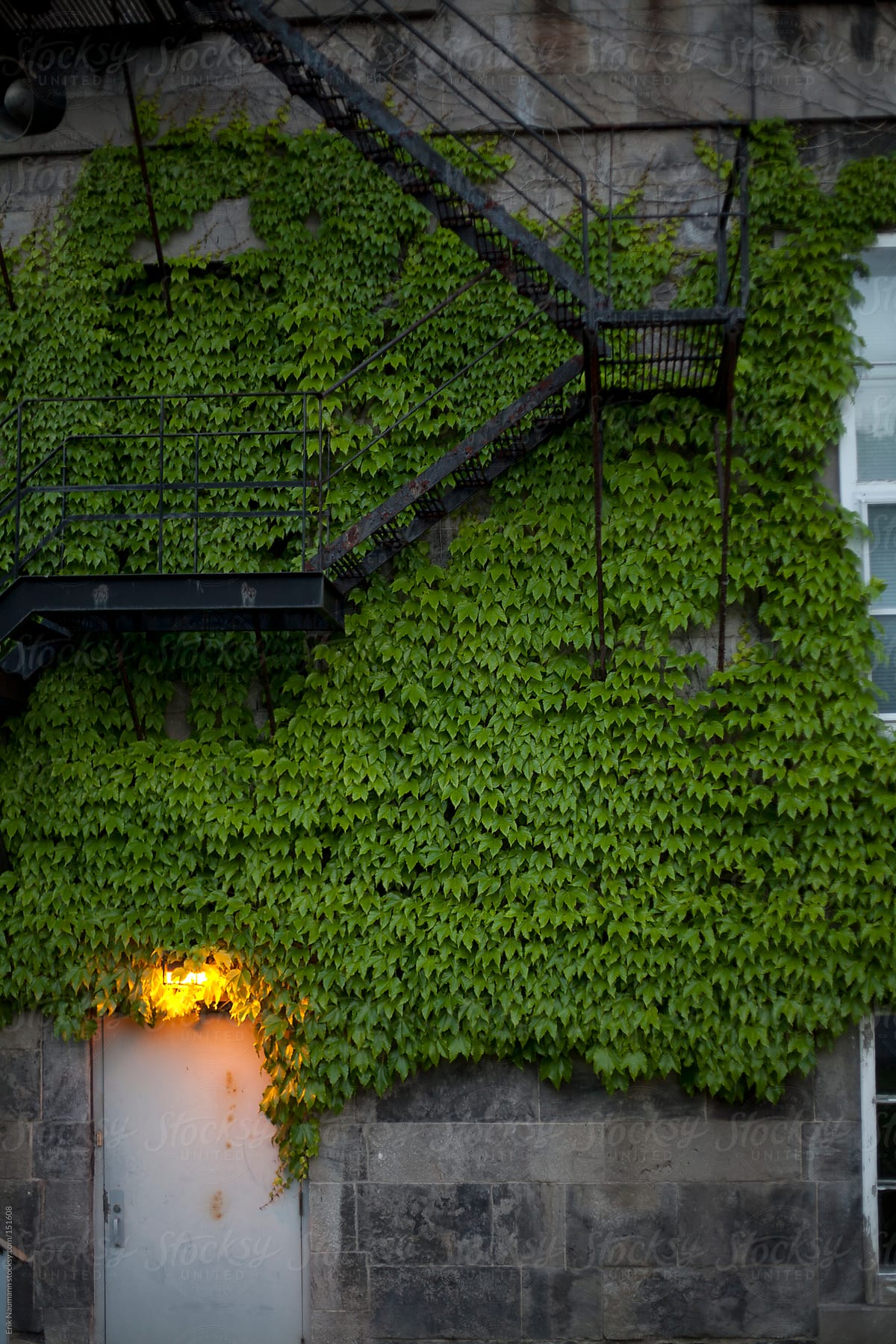 Ivy covered Victorian School
