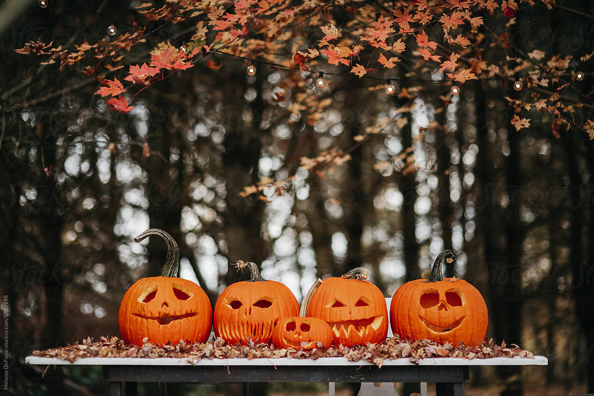 Carved halloween pumpkins