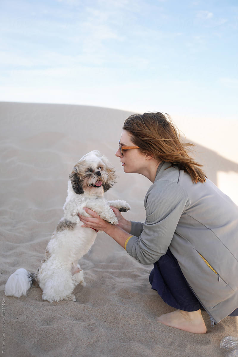 A woman playing with a shih tzu dog in the sand