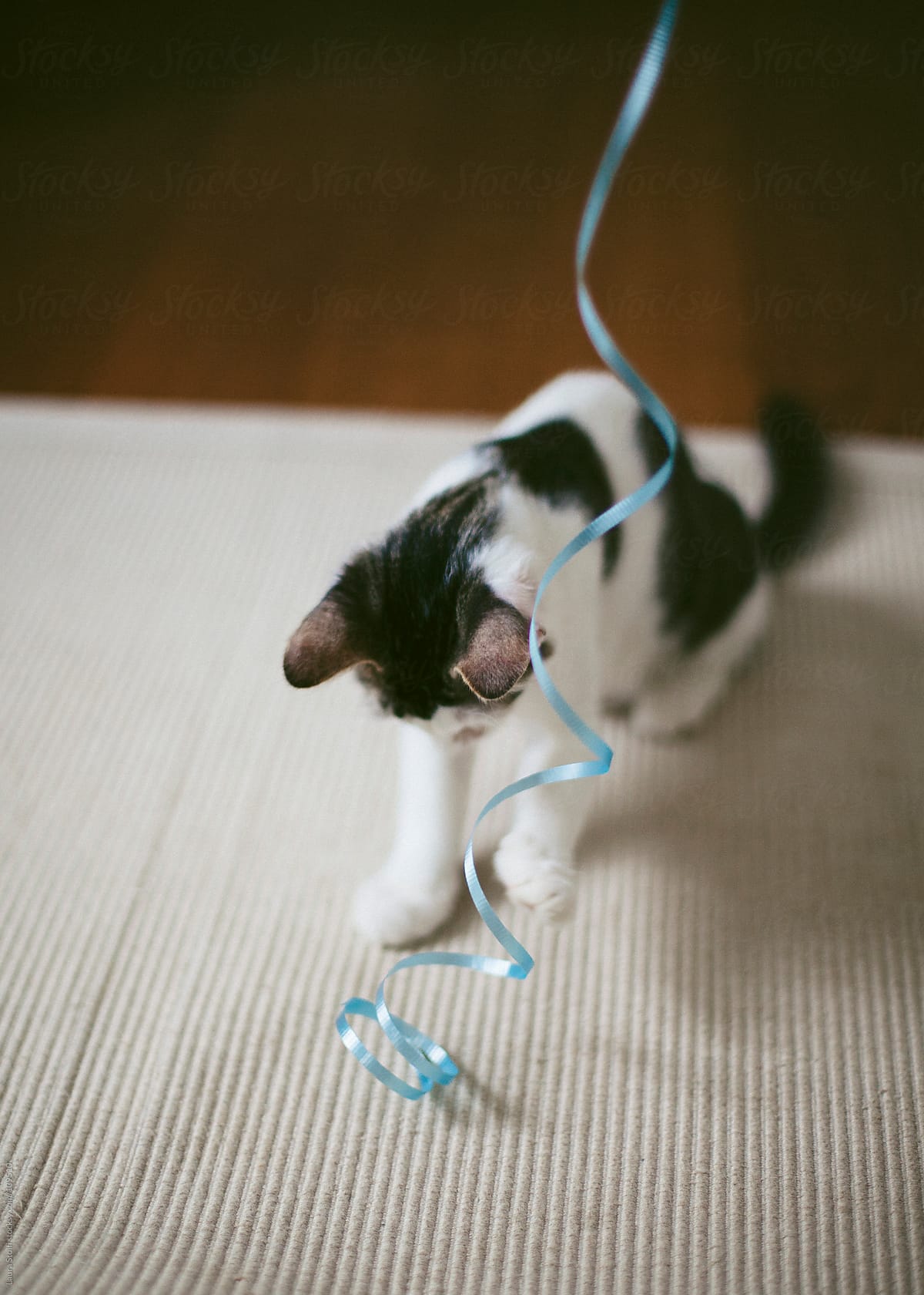 Kitten playing with ribbon on a carpet