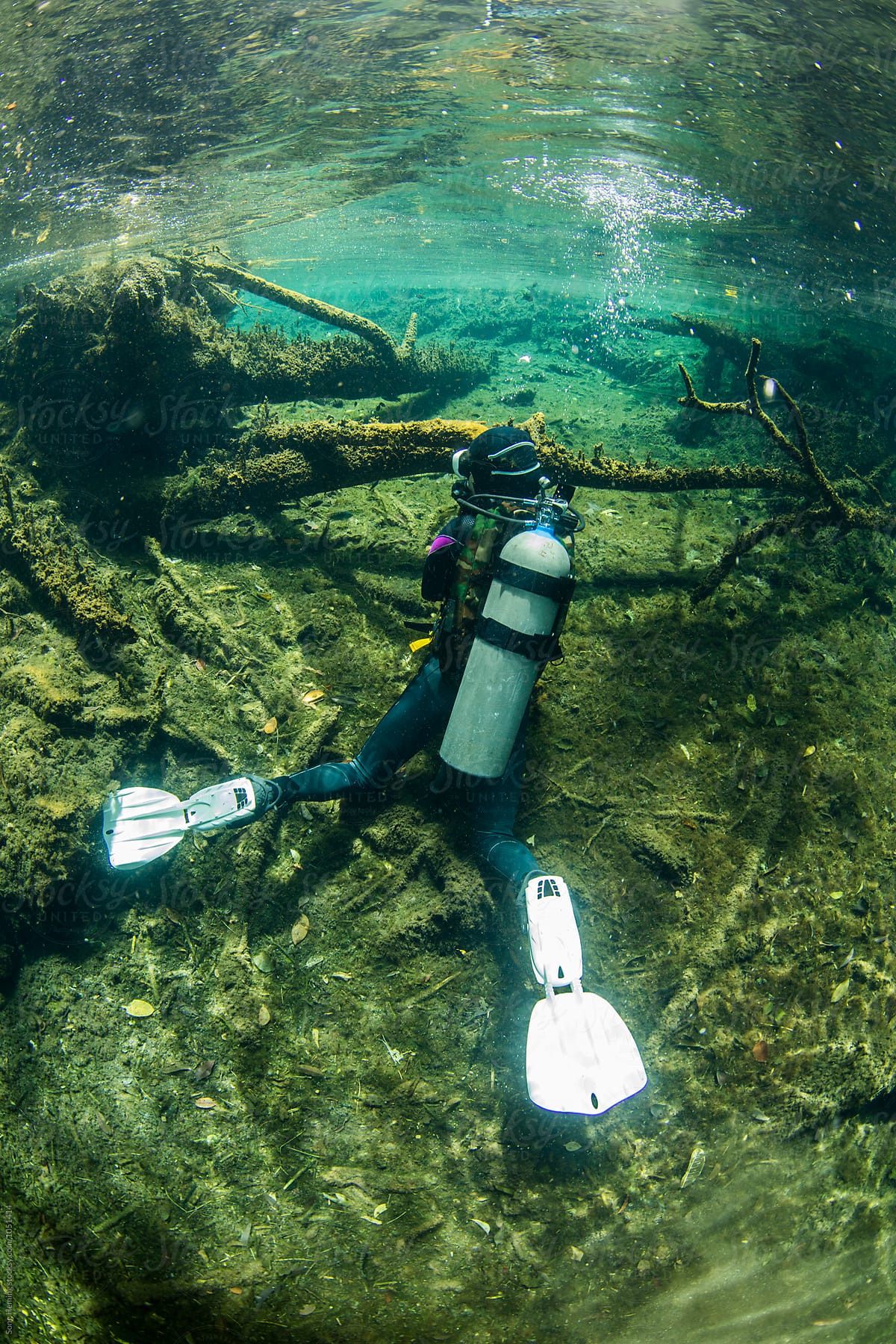 A scuba diver swimming in Mexico's  Cenote Kukulcan