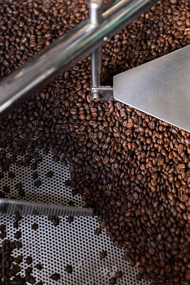 Coffee beans toasting in a stainless steel machine