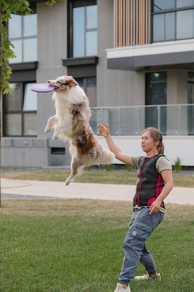Woman teaching dog to catch frisbee