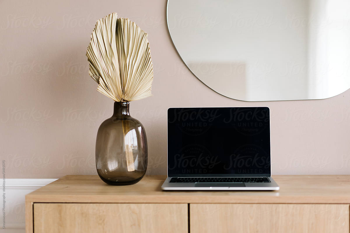 Laptop and vase with plant on wooden cabinet