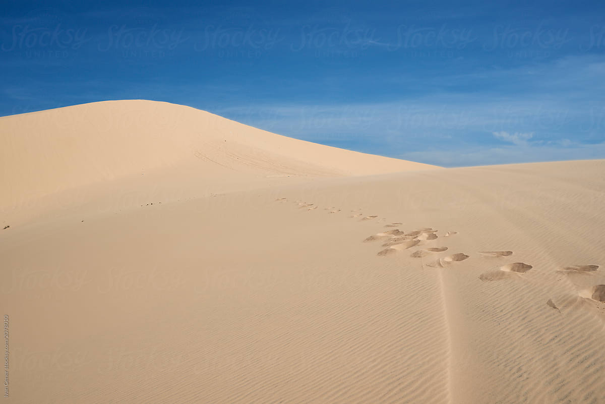Arid landscape of desert with footprints