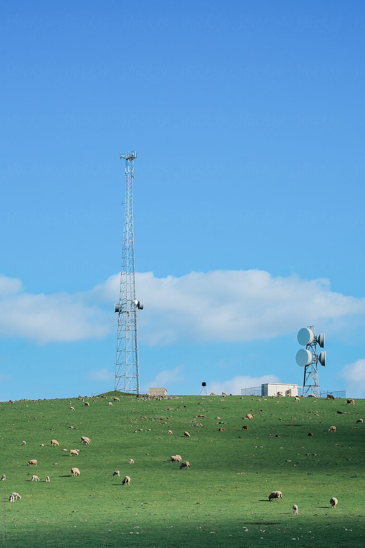 Telecommunications Tower on a Country Landscape