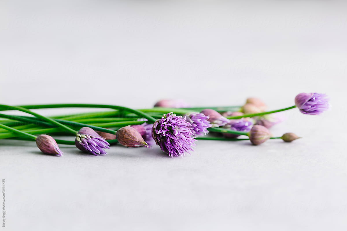 Freshly cut chives with purple flower heads
