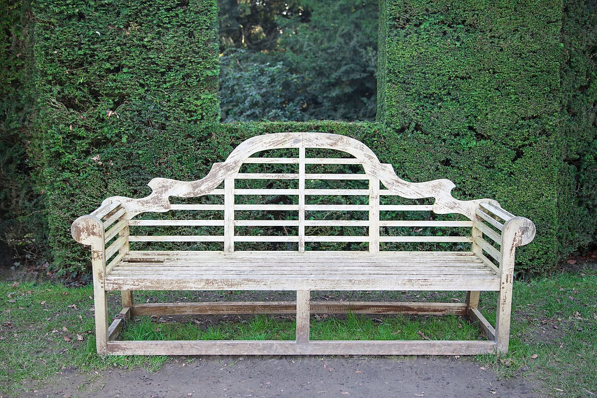 white empty bench among the green leaves
