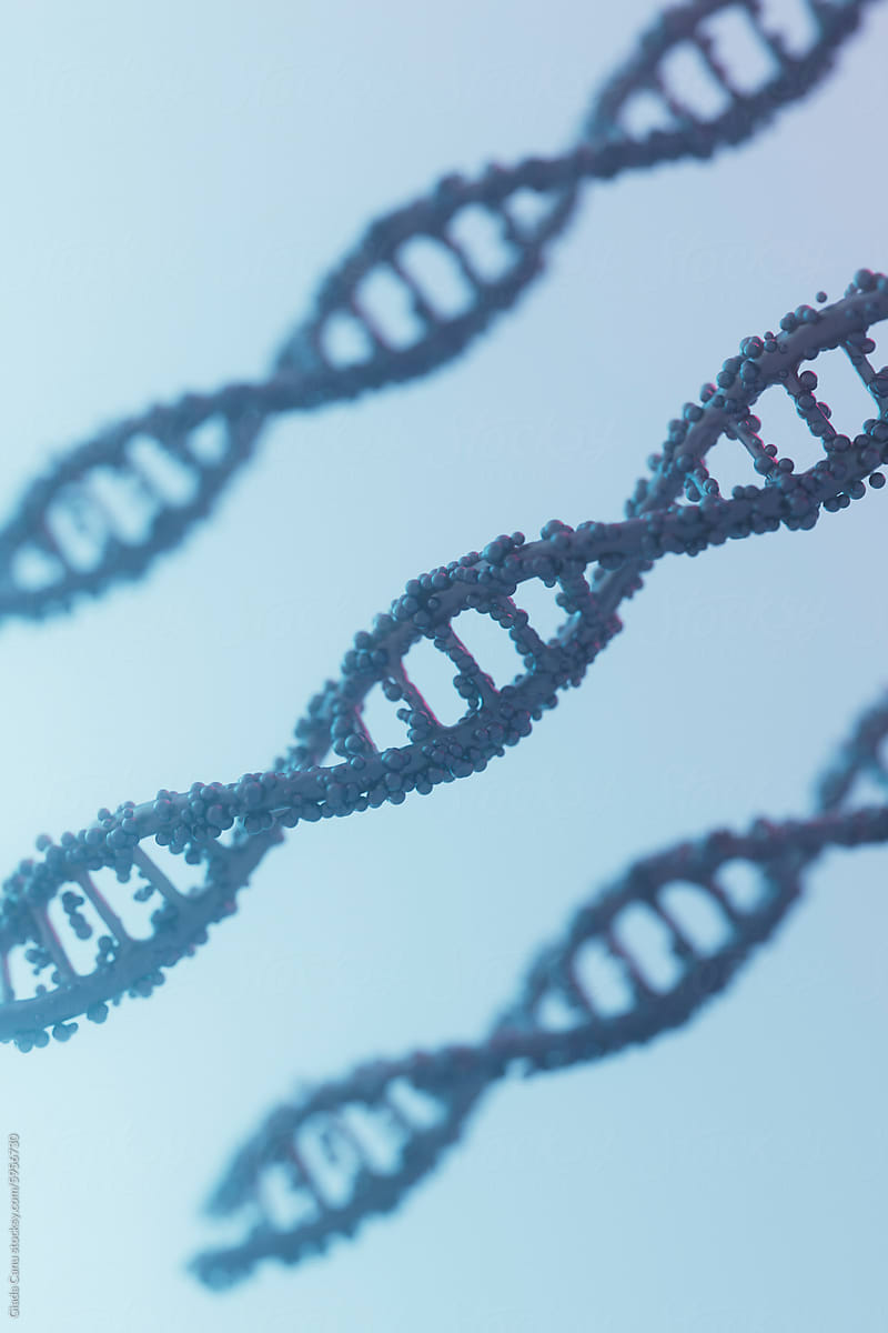 Multiple DNA Strands in Progressive Focus
