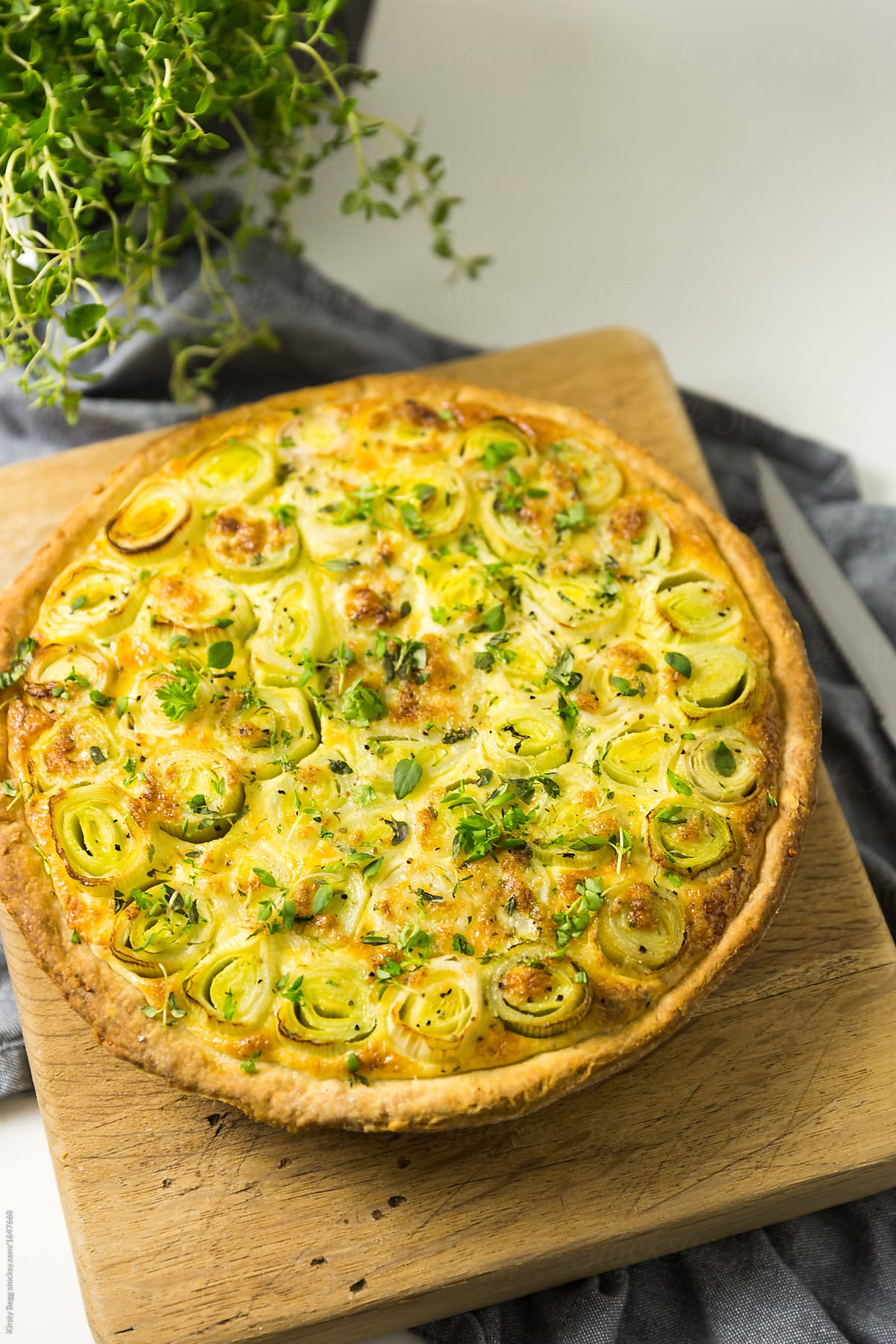 Cheese and leek tart on board with herbs