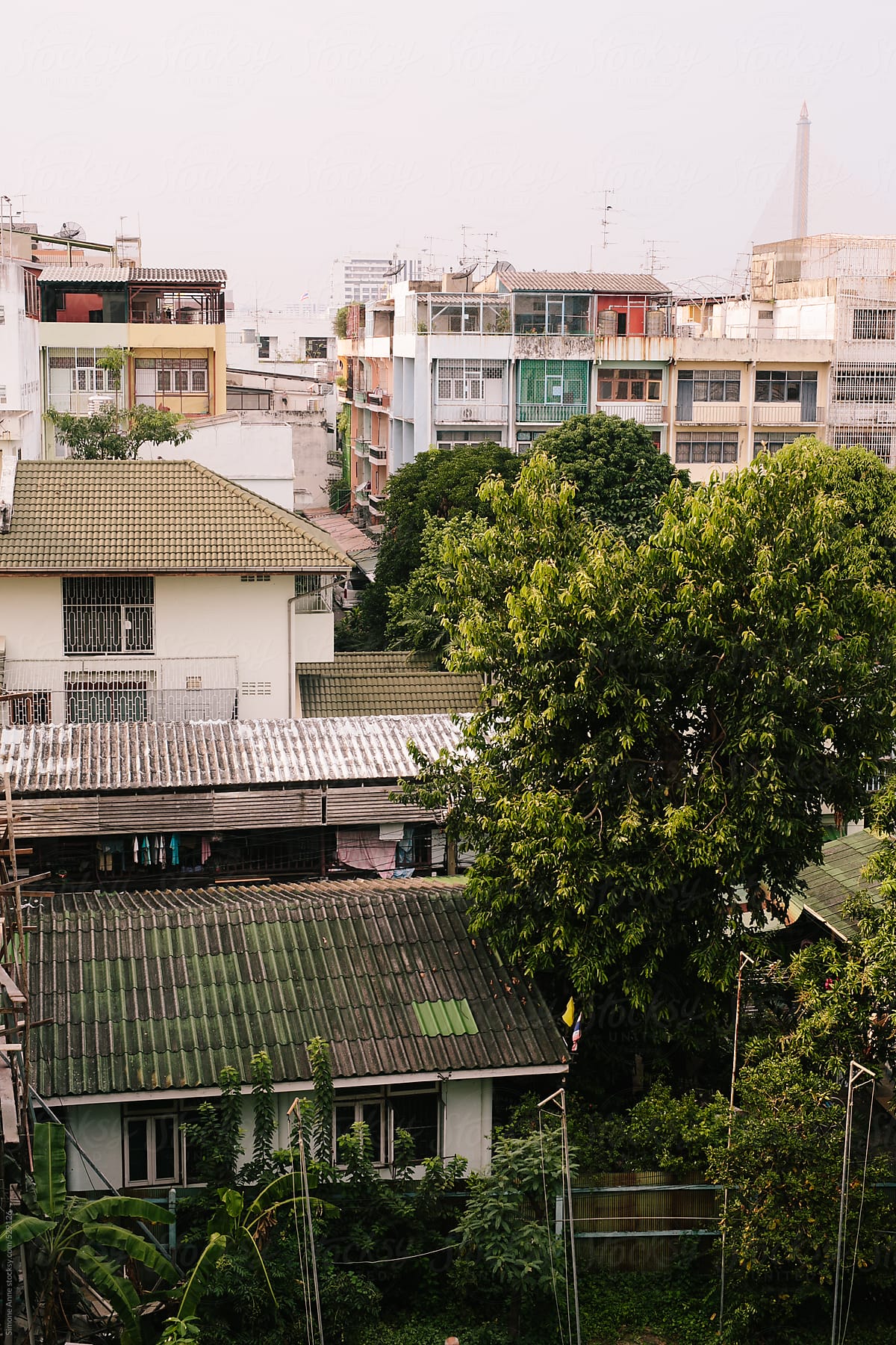 View of verdant Thai street from above