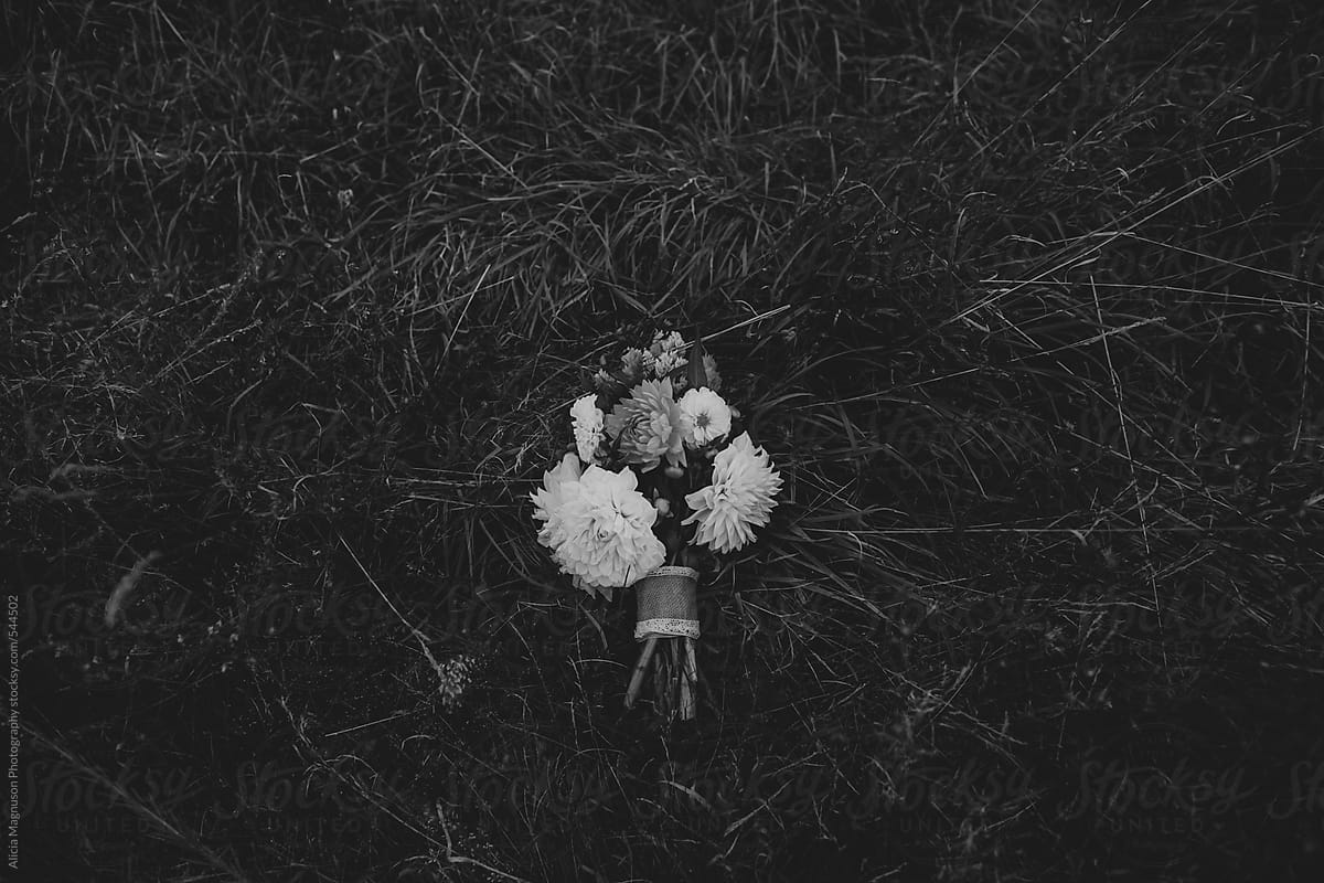 Dahlia Flower Bouquet Resting in a Grassy Field
