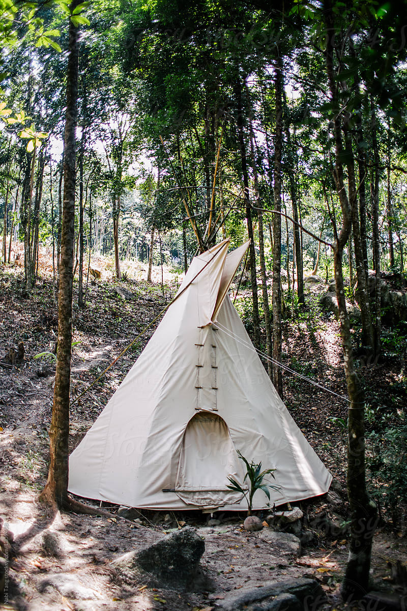 Native american canvas tent (Nomadic Tipi, Teepee or Tepee) in the forest