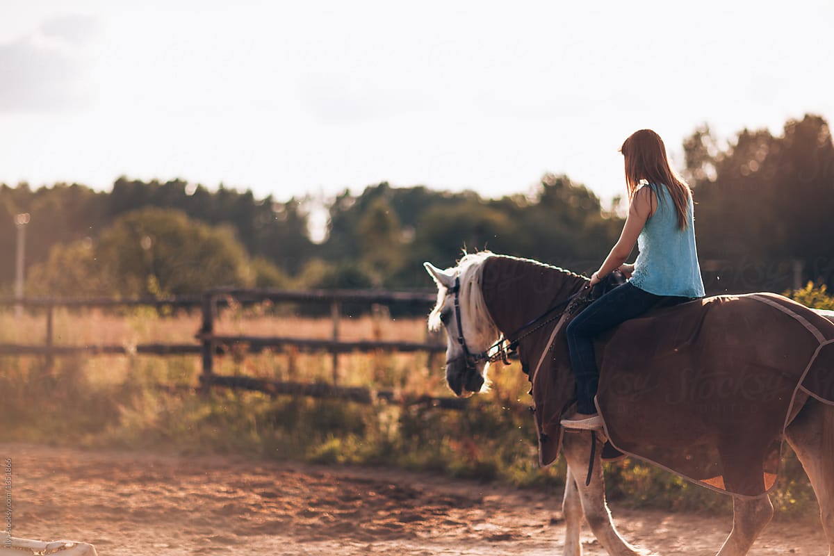Faceless young woman riding horse summer sunset nature