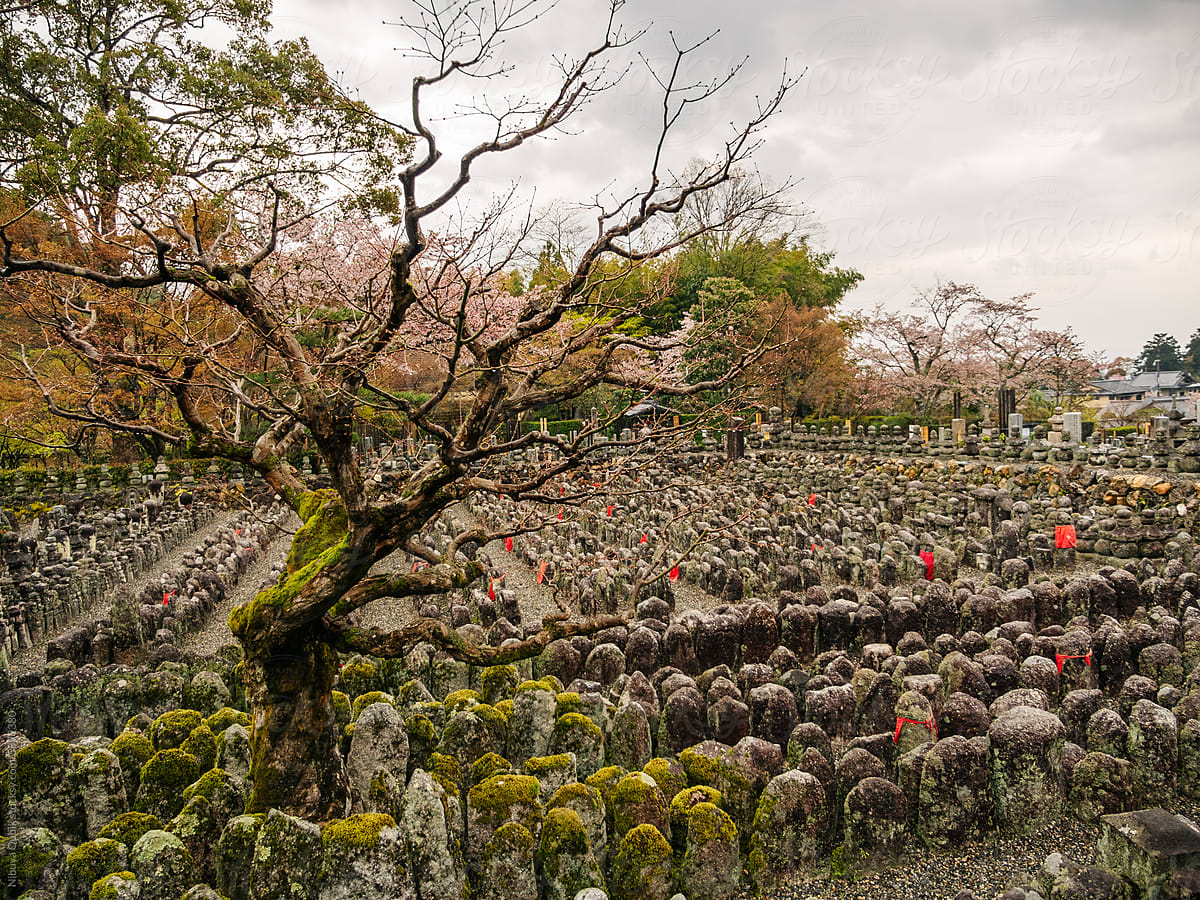 Field of stone statues at ancient Japanese temple