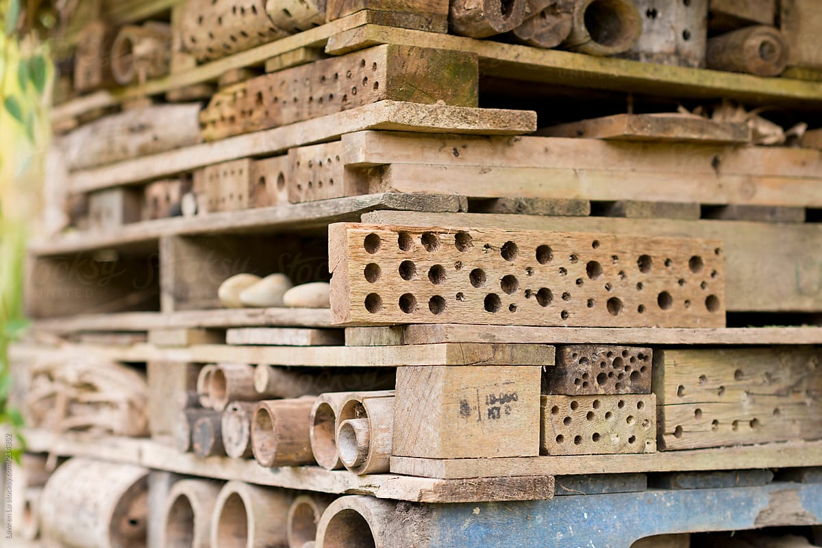 Special manmade insect hotels created from natural materials in garden