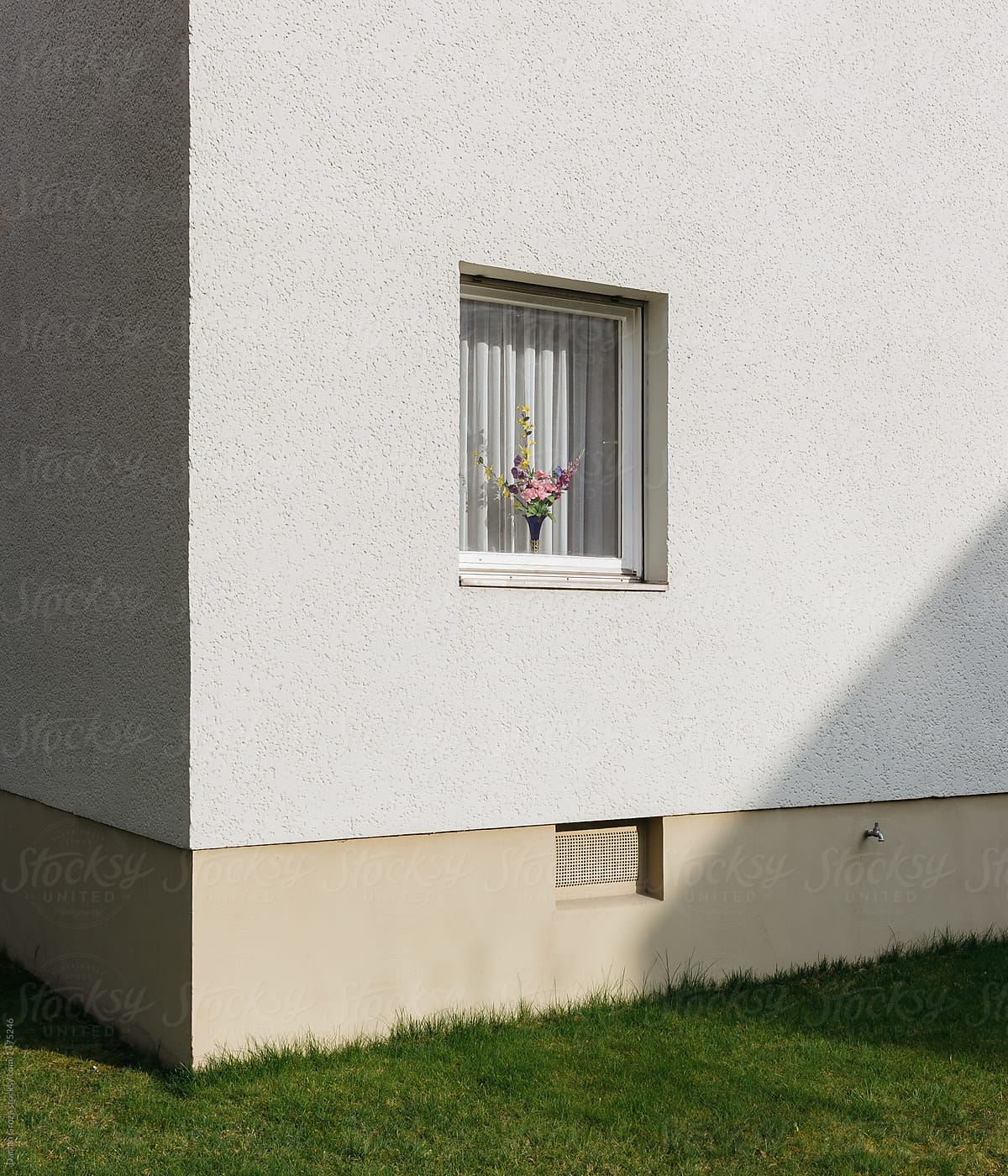 Solitary window