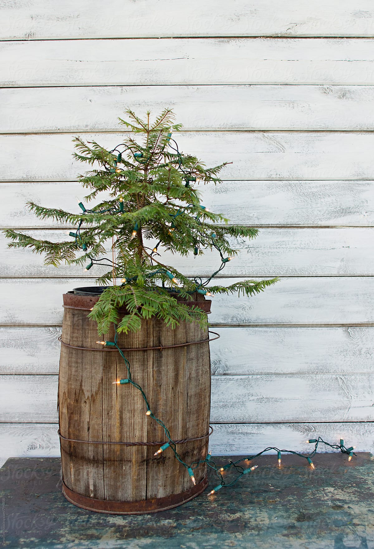 small lit live evergreen tree in wood barrel against white wall
