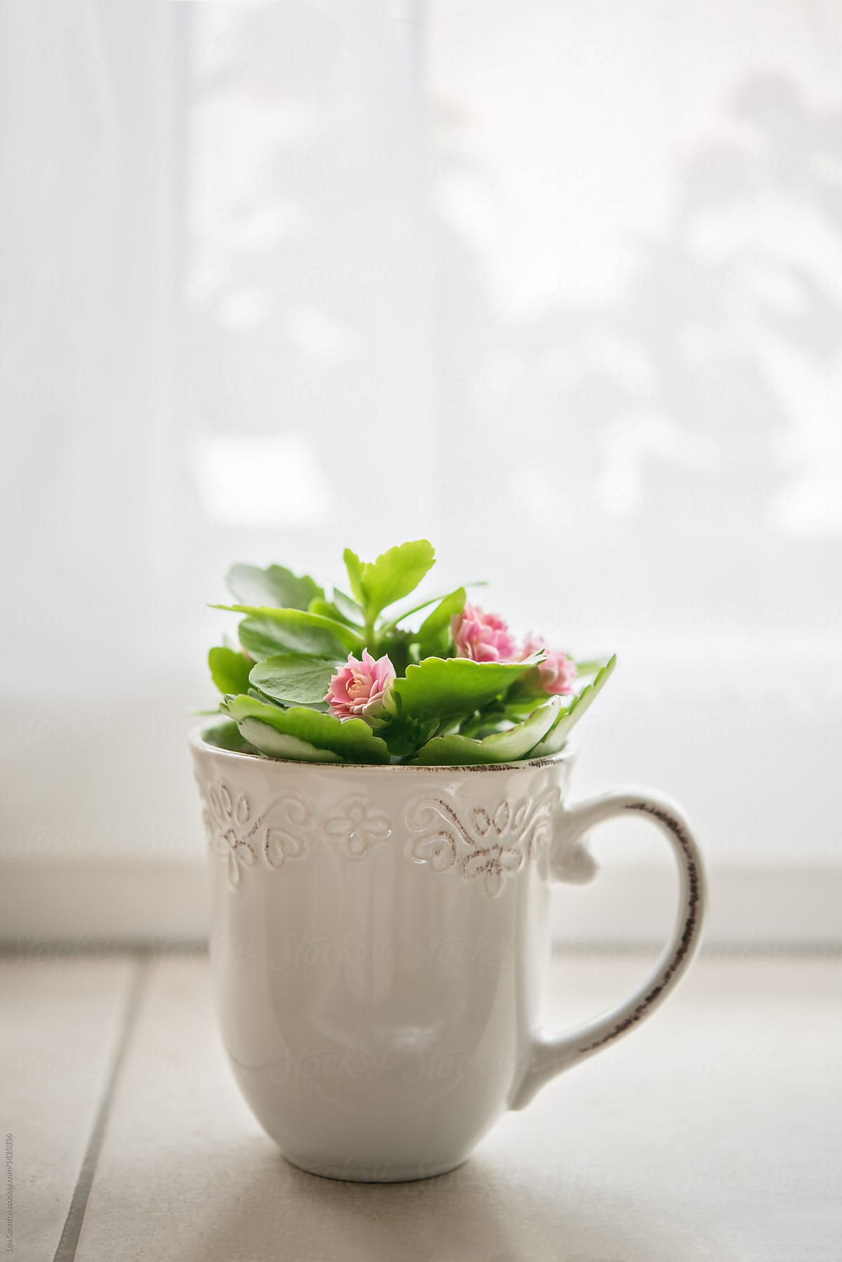 Blooming plant in a rustic white mug on a window sill