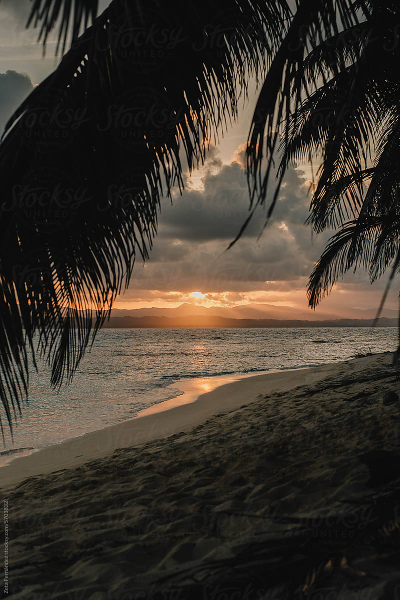 Palm Trees Silhouettes On Tropical Beach At Sunset