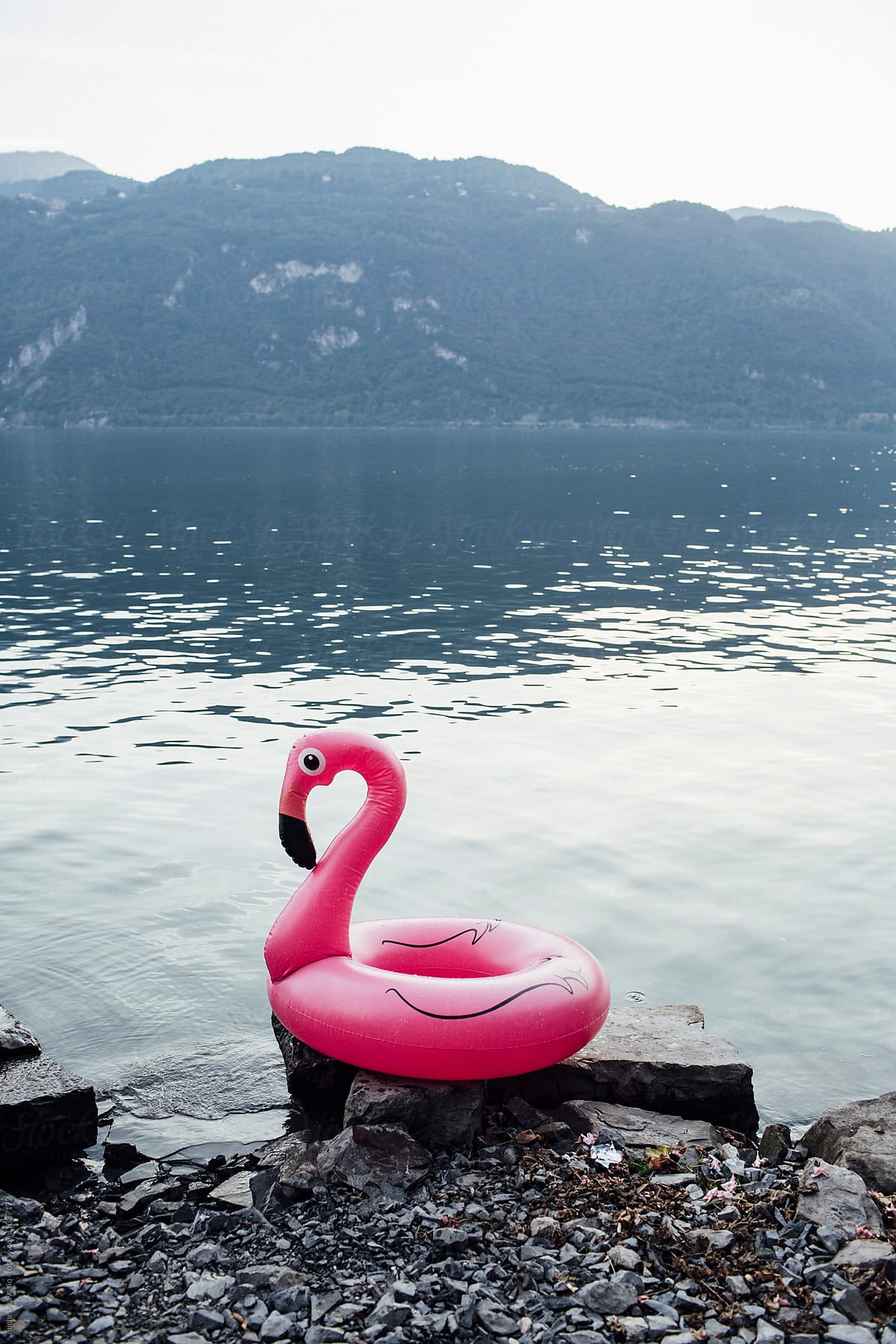 Pink flamingo float on the shore