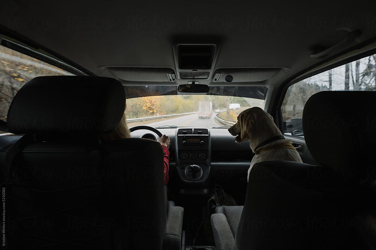 Woman Driving with her Dog