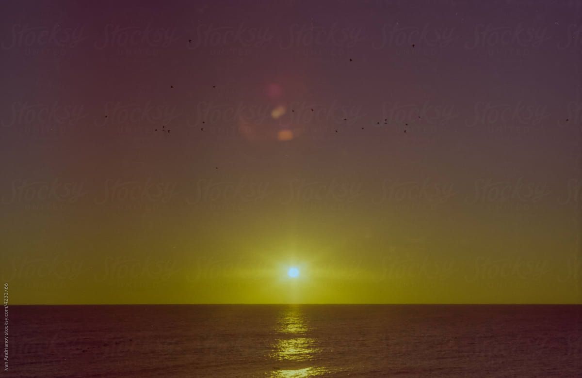Sunset Seascape With Flock of Birds