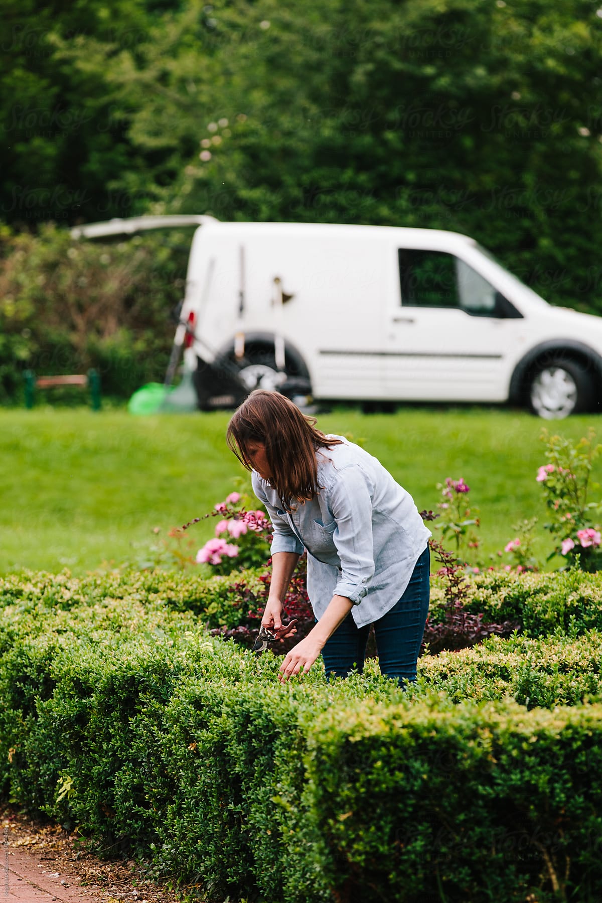 Woman pruning box hedge in a formal garden