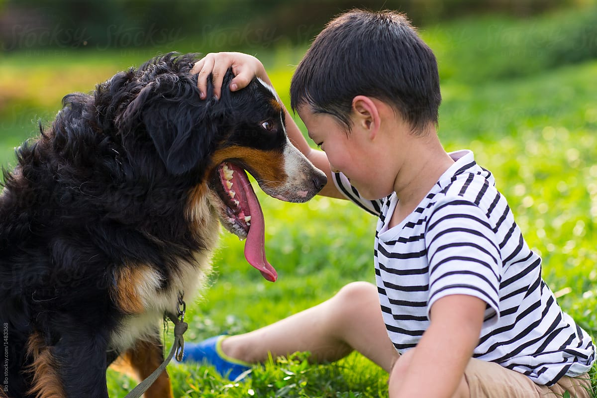 Lovely little boy with his good dog friend