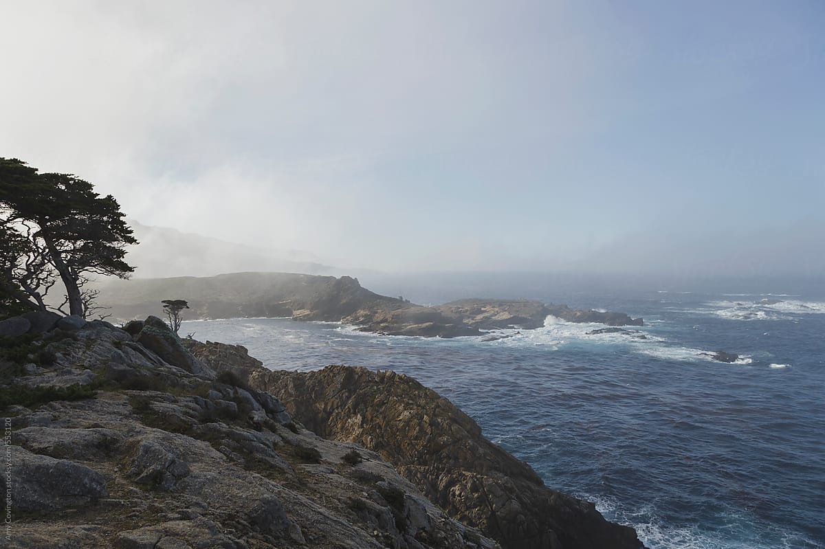 Foggy California coastline