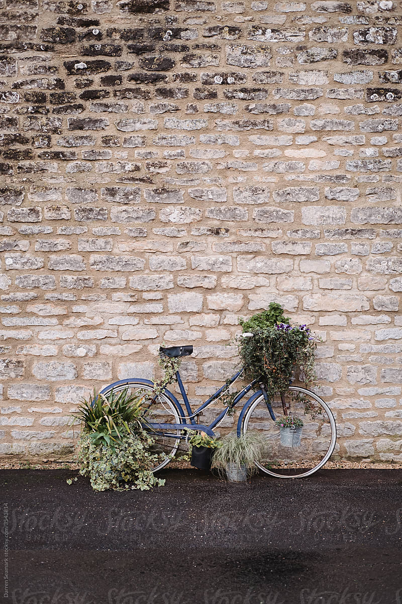 Old blue bicycle covered in plants and flowers