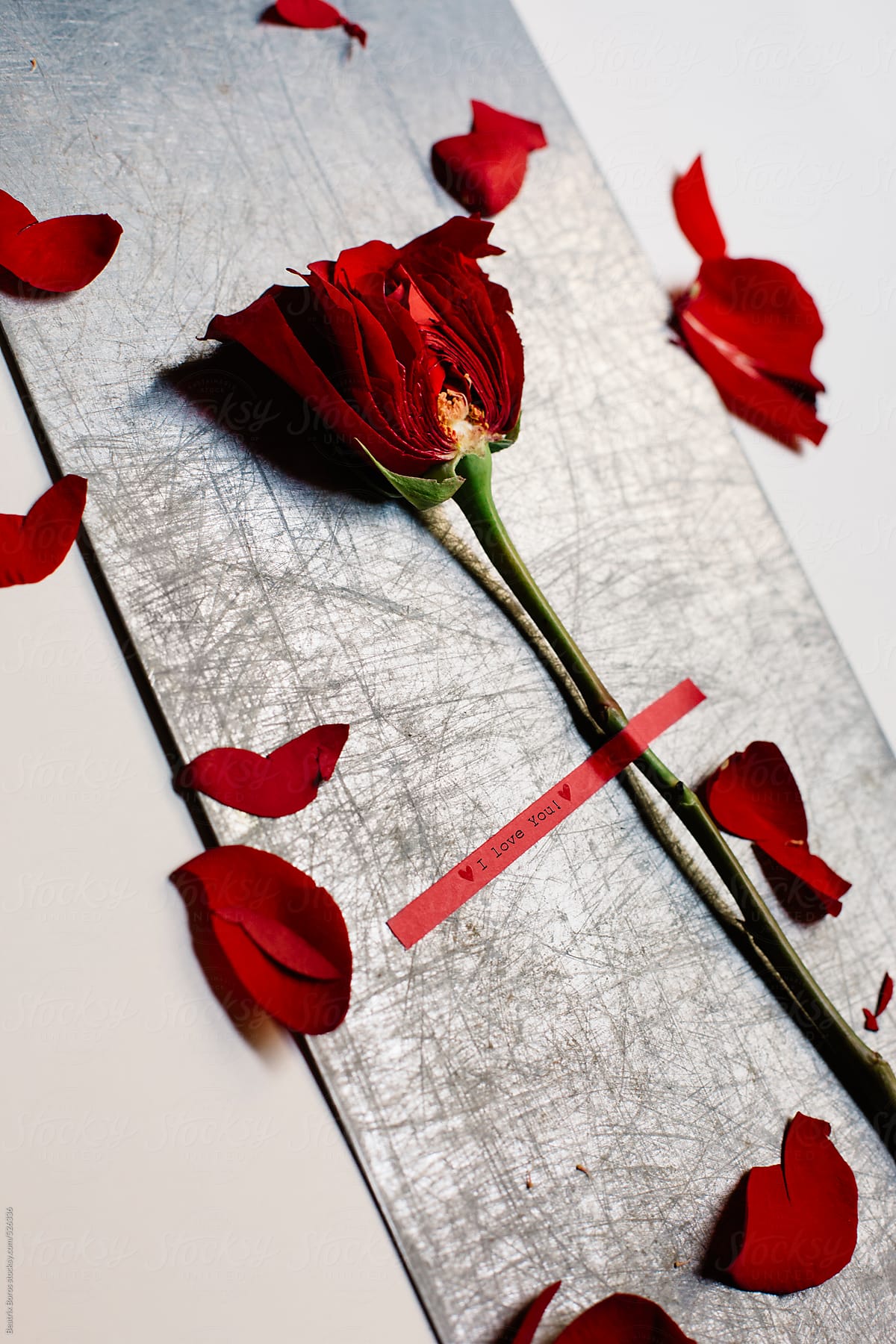 Red dissected rose on a metal surface with a message 