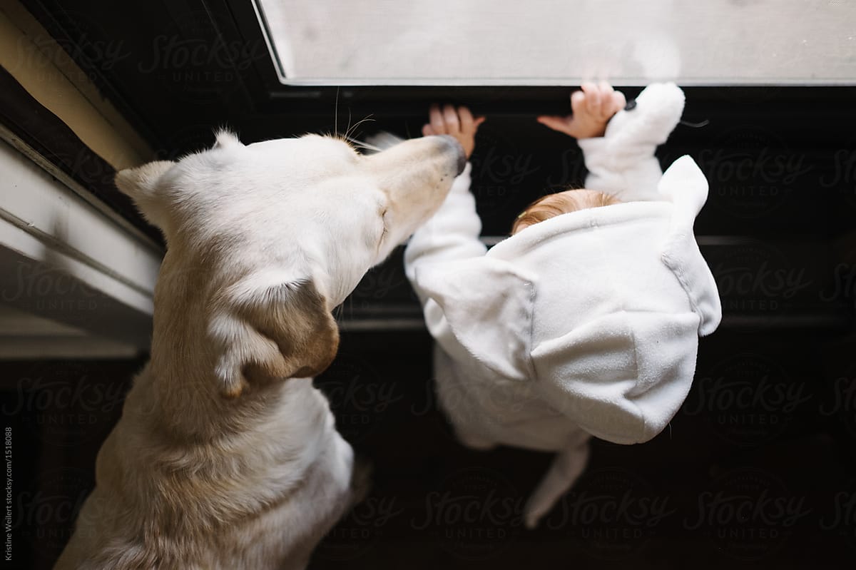 Child at Window with Dog