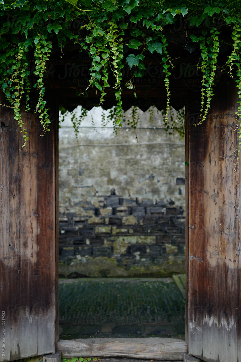 Green plants on the ancient building door of Chinese water town