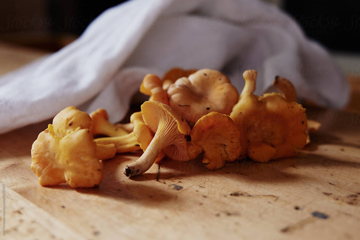 chanterelle on a rustic table