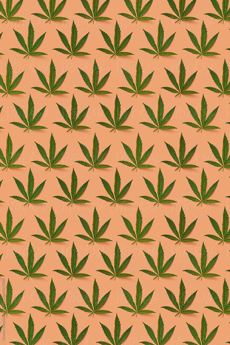 Herbal pattern from cannabis plant.