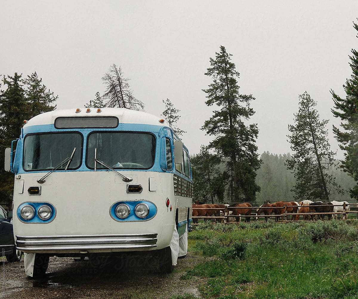 old bus parked by a corral of horses in Yellowstone