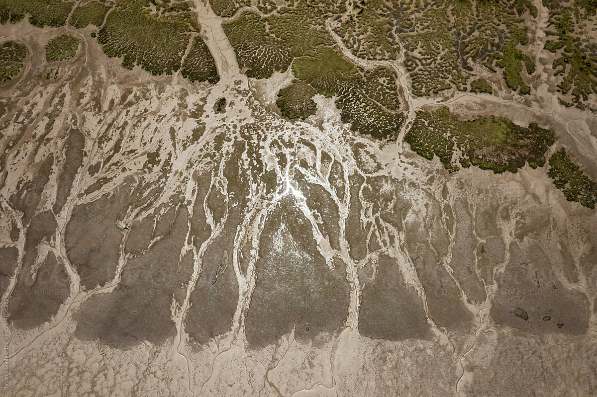 abstract aerial image of a delta reaching the ocean