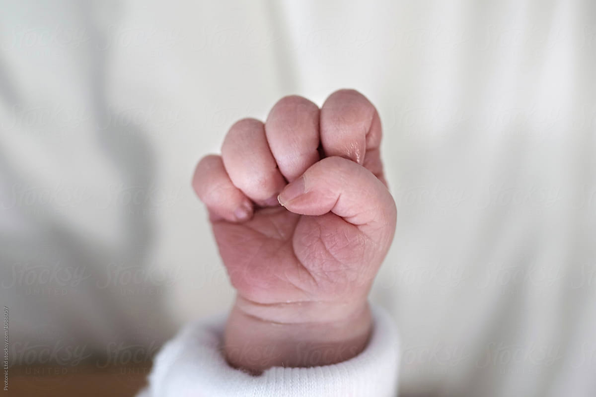 Baby:  Newborn baby fist